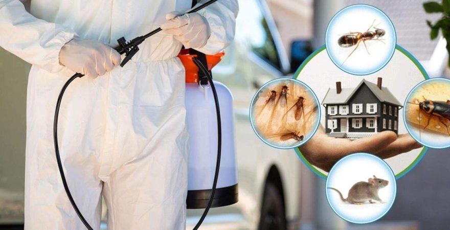 Kartal Böcek İlaçlama