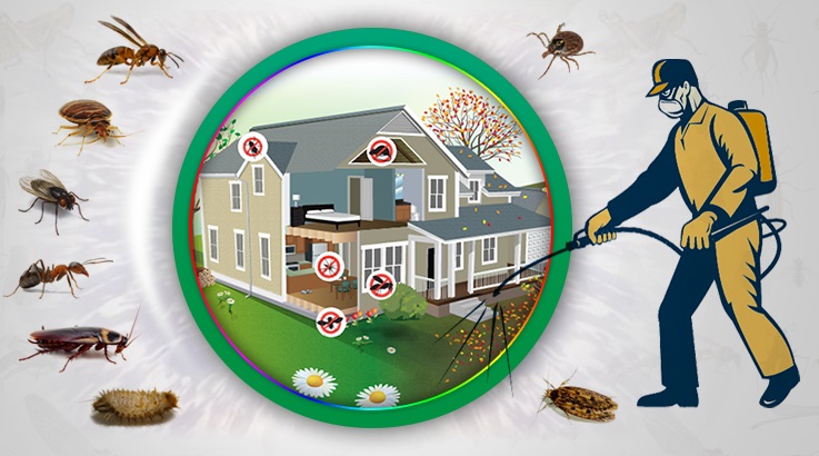 Kartal Böcek İlaçlama