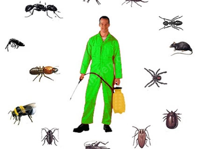 Kartal Böcek İlaçlama